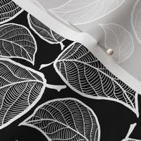 White Black Leaves