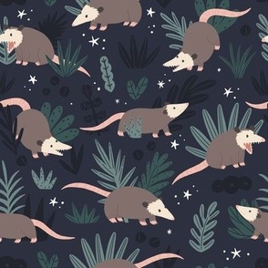 Possums in the forest