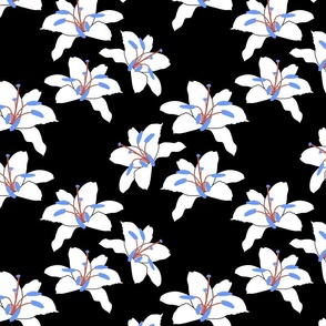 Joyful Lilies! (cornflower) - black, medium