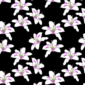 Joyful Lilies! (magenta) - black, medium