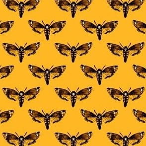  Death's Head Hawkmoth on Yellow 1/4 Size