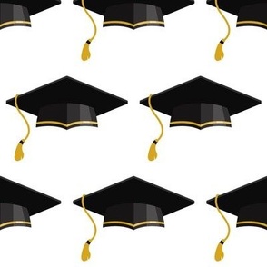 Graduation Caps on White