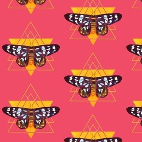 Mystic Moth 2 - pink