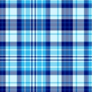 All the Skies Blue Plaid