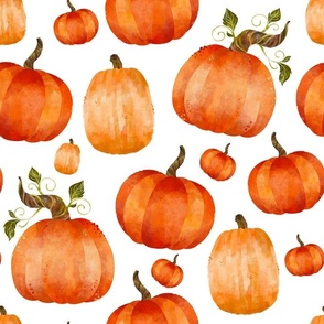 Large Scale Watercolor Pumpkins on White