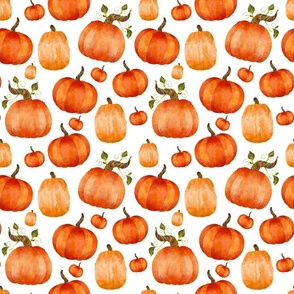 Medium Scale Watercolor Pumpkins on White