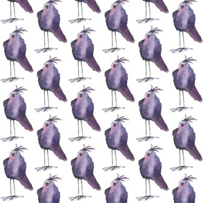 Sassy the Purple Bird