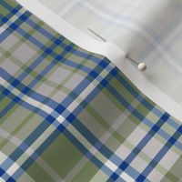 Sage Green Blue and White Plaid