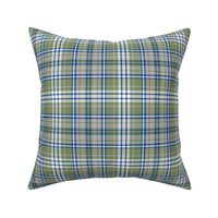Sage Green Blue and White Plaid