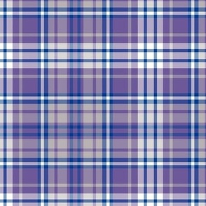 Lavender Purple Blue and White Plaid