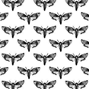 Death's Head Hawkmoth Black on White 1/4 Size