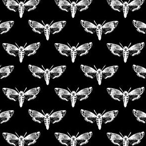 Death's Head Hawkmoth White on Black 1/4 Size