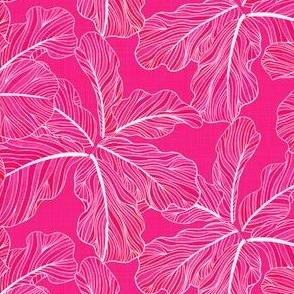 Fiddle Leaf Fig in Pink • Large