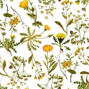 8" yellow vintage botanical wildflowers on  white small wallpaper 12/24