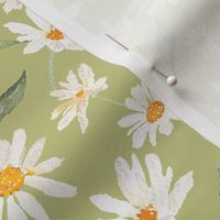 12"   Spreading daisies wildflowers meadow  Watercolor Floral / Daisies apple green  Fabric