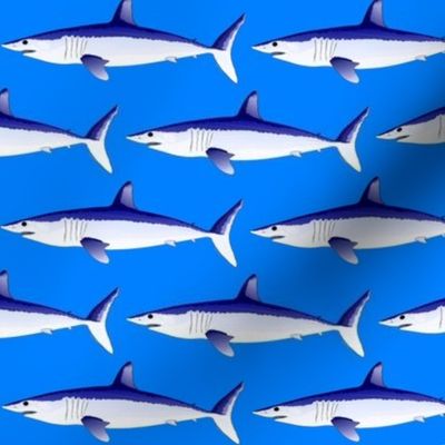 Shortfin Mako Shark sea blue1