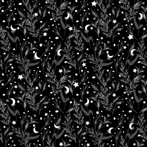 black and white night  plants and stars