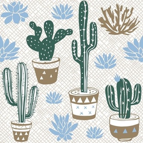 cacti