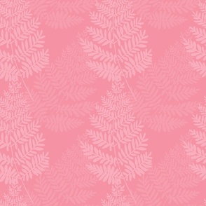 Fern_damask_pink_stock