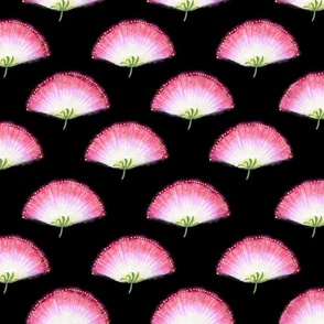 Pink Mimosa Plumes Tiled on Black