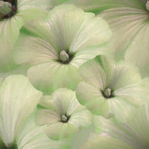 Rose of Sharon, Large scale ,Cream, green,Painterly