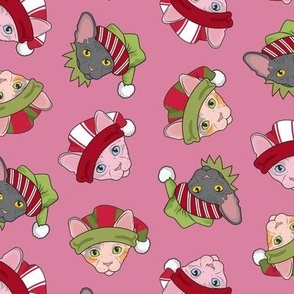 Sphynx Elf Cats on Pink