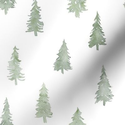 Pine Trees on White- Medium