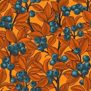 Blueberries-blue and orange