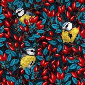 Birds and dog rose hips, blue and red