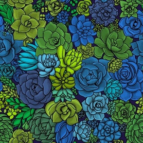 Succulent garden in greens and blues