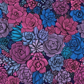 Succulent garden in violet, pink and blue