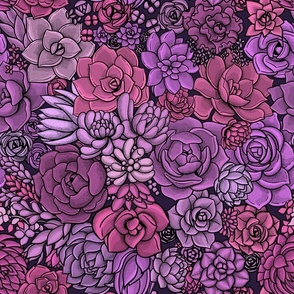 Succulent garden-pink, red and violet