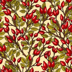 Rose hips red,gold and cream