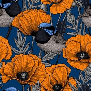Fairy-wrens and orange  poppies on dark blue