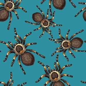 Animal Halloween Insect Spider Steampunk Spoonflower Fabric by the Yard 