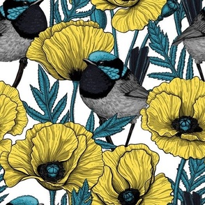 Yellow poppies and fairy-wrens on white