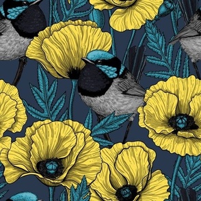 Yellow poppies and fairy-wrens on navy