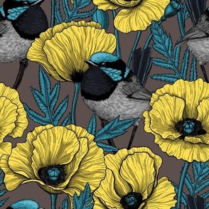 Yellow poppies and fairy-wrens on brown