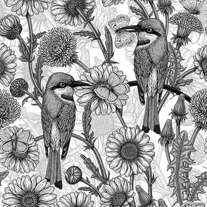 Bee eaters, blue butterflies and daisy flowers, monochrome