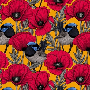 Red poppies and fairy-wrens on on orange