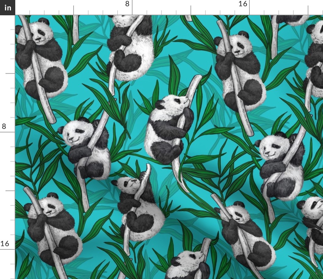 Panda cubs on turquoise