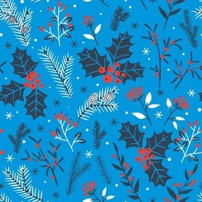 Winter flora, blue, red and white