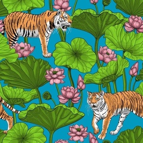 Tigers in the lotus pond on blue