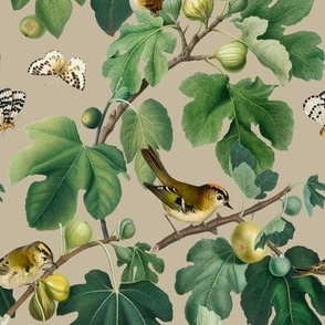 Figs & Birds - Small - Tan Gray Brown