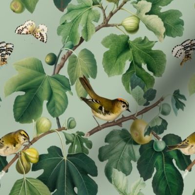 Figs & Birds - Small - Light Green