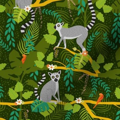 Lemurs in Green Jungle