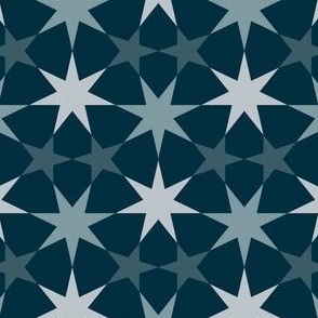 11995656 : U75E2 : spoonflower0220