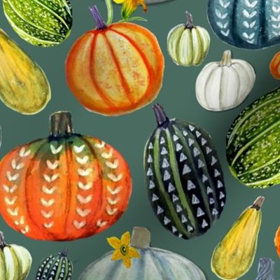 Gourd and pumpkin harvest on pine green