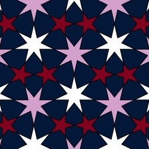 11996066 : U75E2 : spoonflower0431