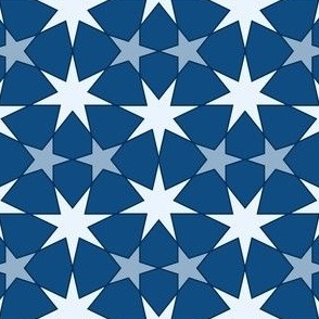 11996180 : U75E2 : spoonflower0533